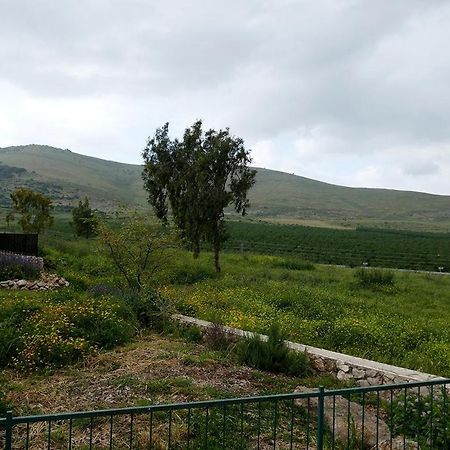 נוריות בגלבוע 1 Villa Nurit Kültér fotó